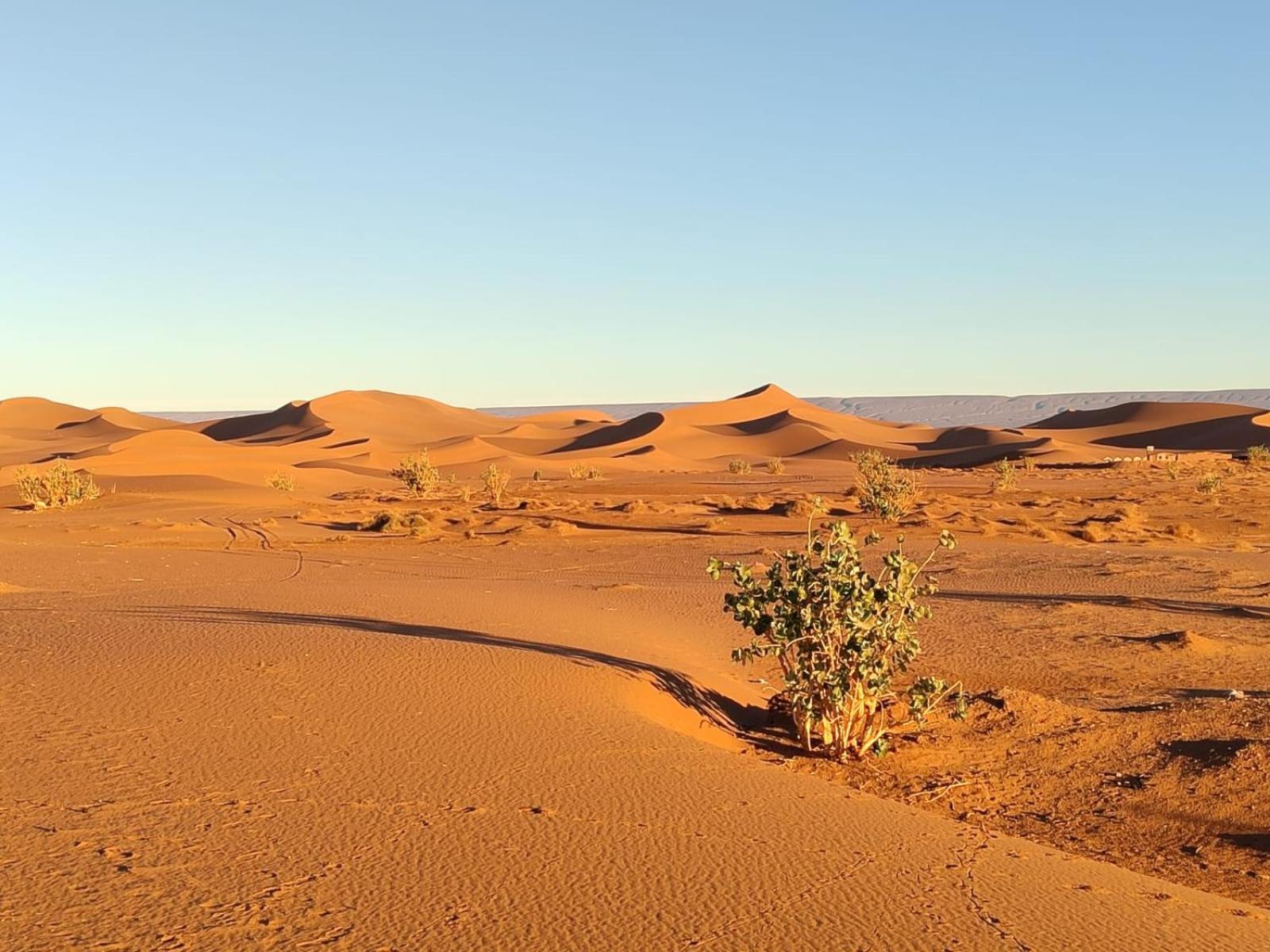 Camp Desert Bivouac Chegaga El Gouera Extérieur photo