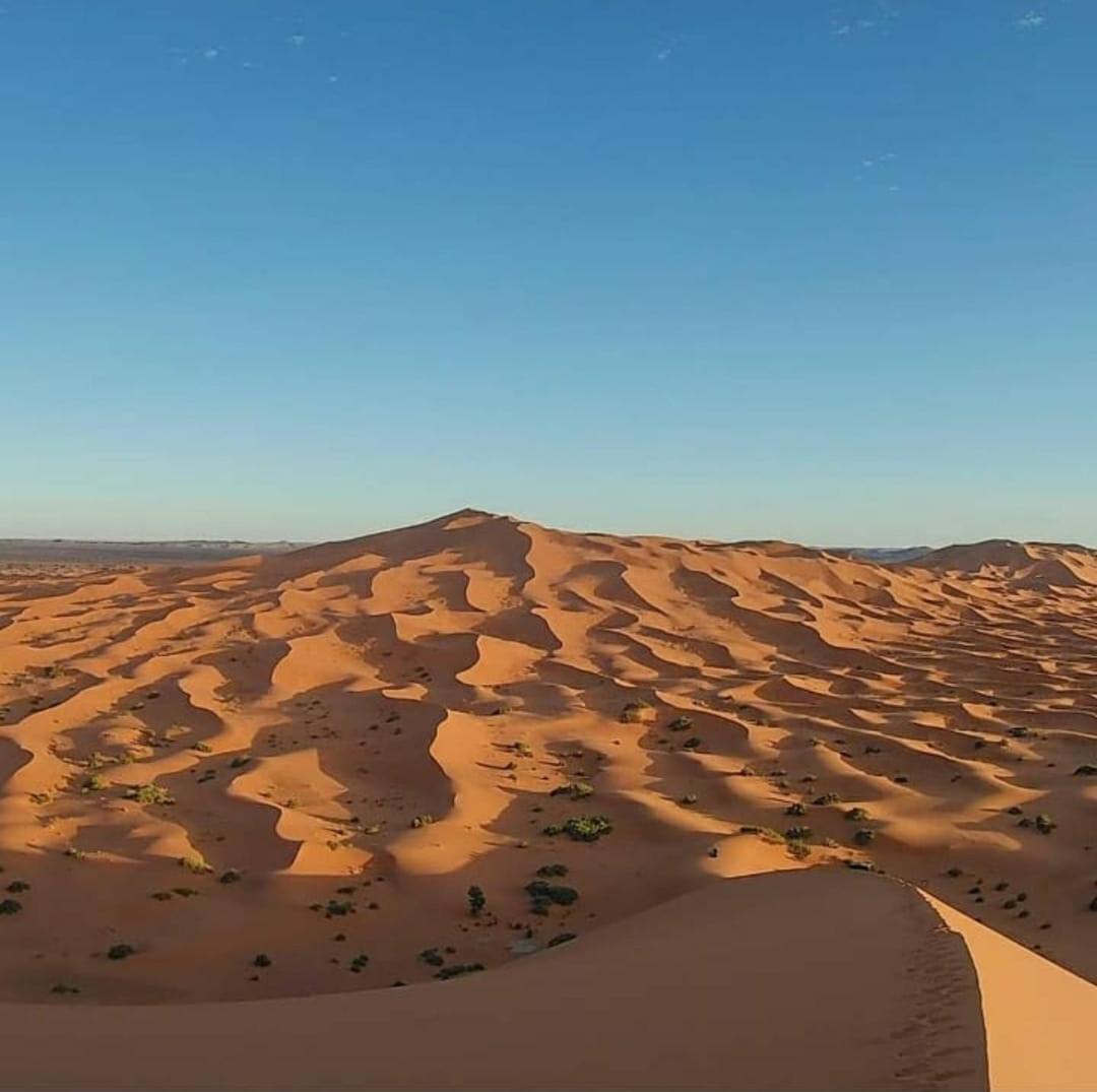Camp Desert Bivouac Chegaga El Gouera Extérieur photo